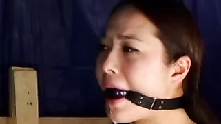 Artistic And Painful Bondage For Two Big Boobed Dancers